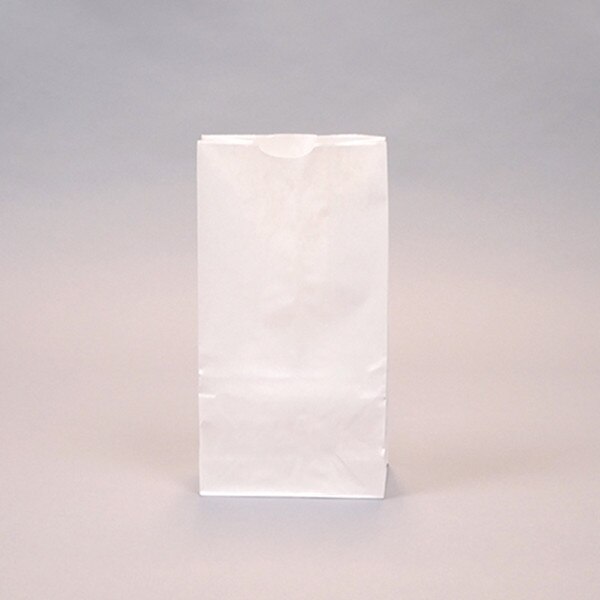 6 lb. White Kraft Paper Bakery Bags